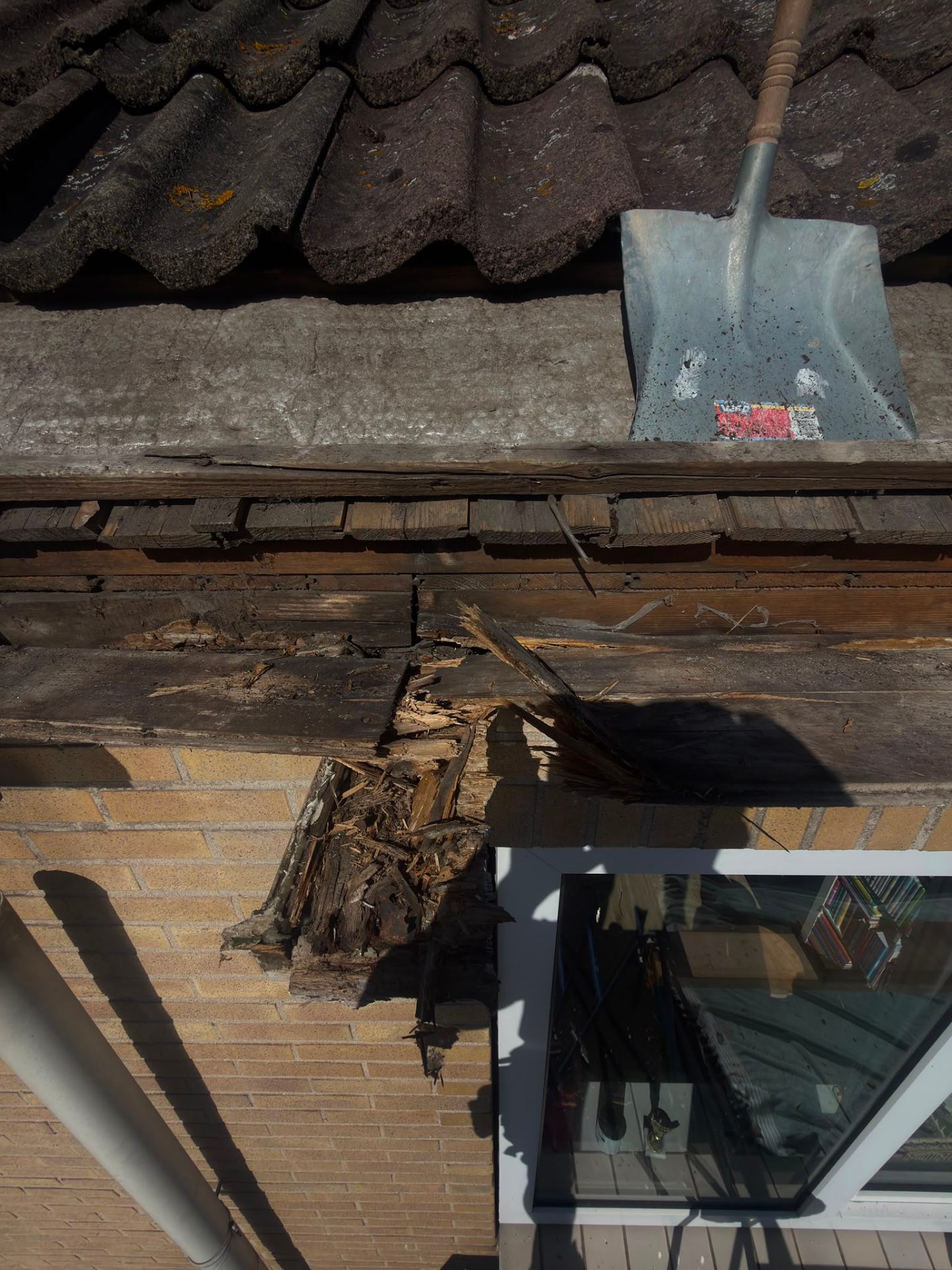 Houtrot in dakgoot aanpakken Limmen — aangetaste gootplank en dakbeschot blootgelegd